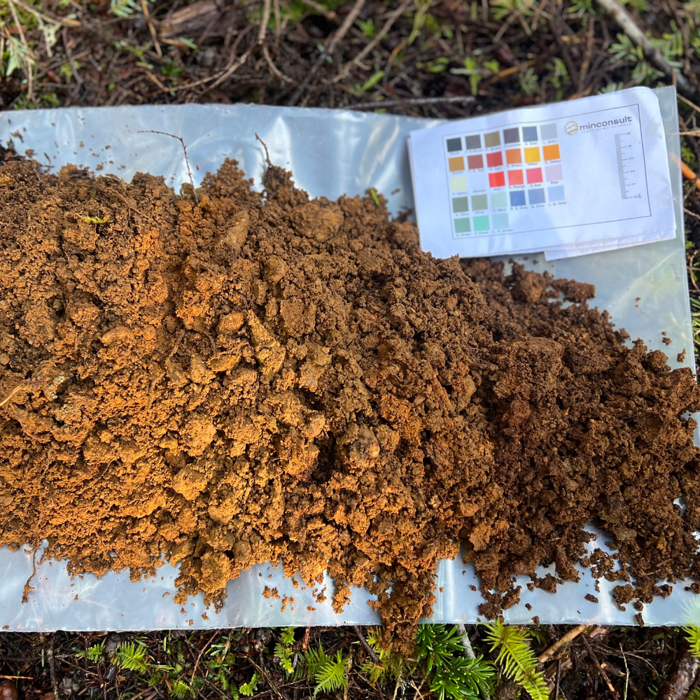 soil sample (1)